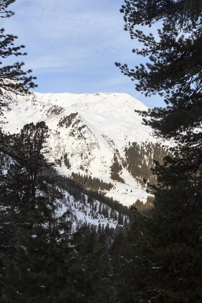 Bergpanorama met sneeuw, bomen en blauwe lucht in de winter in de Stubaier Alpen, Oostenrijk — Stockfoto
