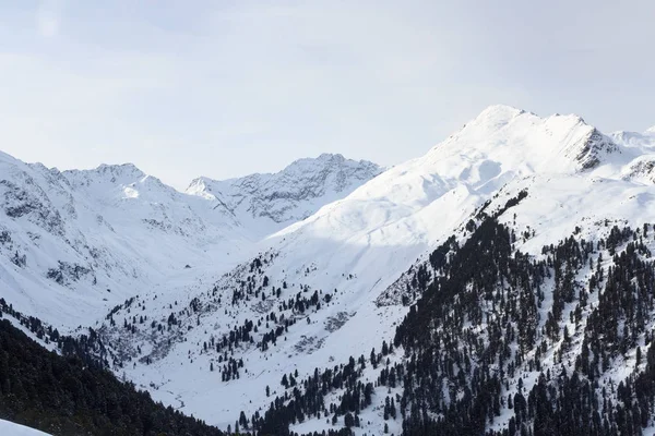Dağ panorama Stubai Alps, Avusturya için kışın kar, ağaçlar ve mavi gökyüzü ile
