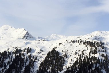 Dağ panorama Stubai Alps, Avusturya için kışın kar, ağaçlar ve mavi gökyüzü ile