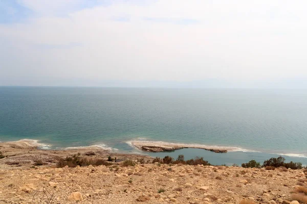 Lago Salgado Panorama da costa do mar morto na margem oeste, Israel — Fotografia de Stock