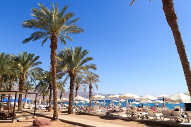İsrail, Kızıldeniz 'de palmiye ağaçları, güneş gözlüğü ve güneş panjurları olan Eilat plajı