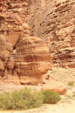 Wadi Rum Çölü 'nde kafa şeklinde bir kaya, Jordan.