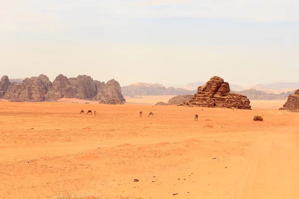 Develi Wadi Rum çöl manzarası, Jordan.