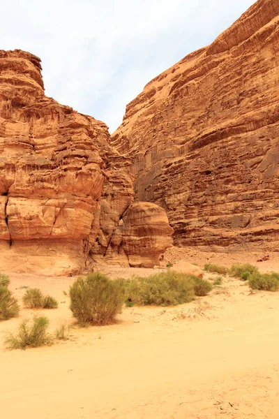 Wadi Rum Çölü 'nde kafa şeklinde bir kaya, Jordan. — Stok fotoğraf