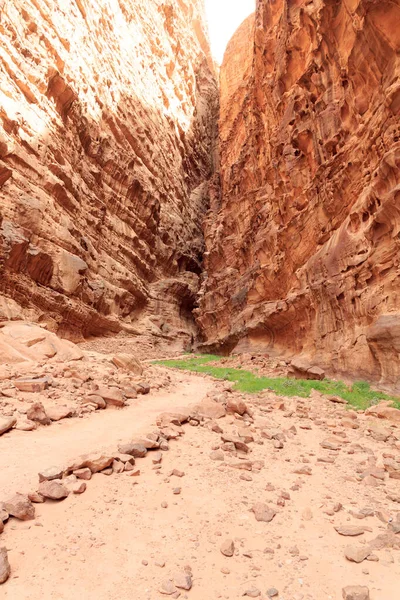 Wadi Rum Çölündeki Kanyon, Ürdün — Stok fotoğraf