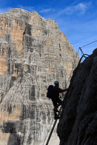 Man climbing a ladder on Via Ferrata Sentiero Brentari in Brenta Dolomites mountains, Italy