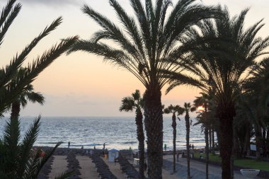 Plajda gün batımı ve tatil beldesi Playa de las Americas 'ta Atlantik Okyanusu manzarası Kanarya Adası Tenerife, İspanya