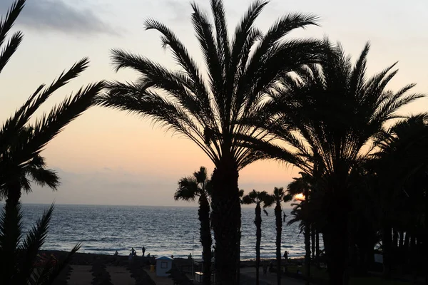 Sonnenuntergang Strand Und Atlantikpanorama Ferienort Playa Las Americas Auf Der — Stockfoto