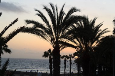 Plajda gün batımı ve tatil beldesi Playa de las Americas 'ta Atlantik Okyanusu manzarası Kanarya Adası Tenerife, İspanya