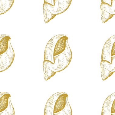 Altın kroki seashell desen. 
