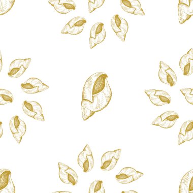 Altın kroki seashell desen. 