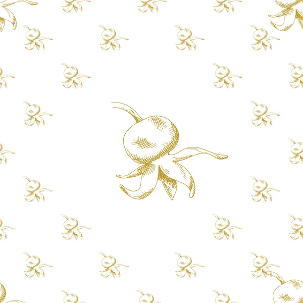 Croquis doré motif briar — Image vectorielle