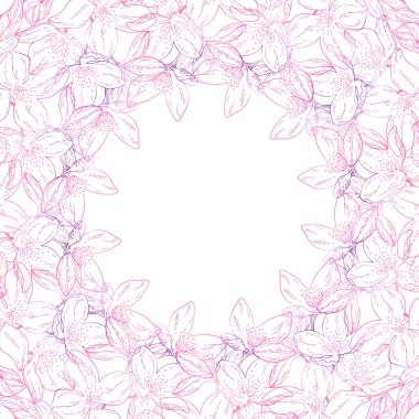 Çiçek bitki, şube