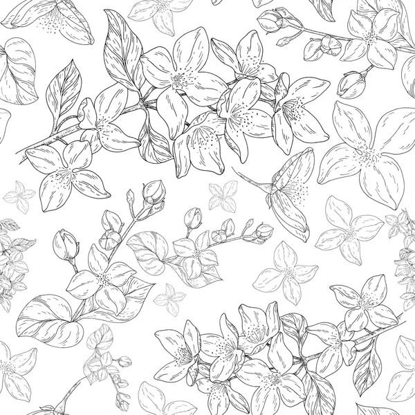 Çiçek bitki, şube