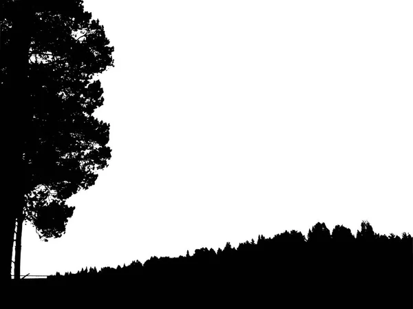 Чорний лісовий силует. Ізольовані на білому тлі. Вектор іл — стоковий вектор