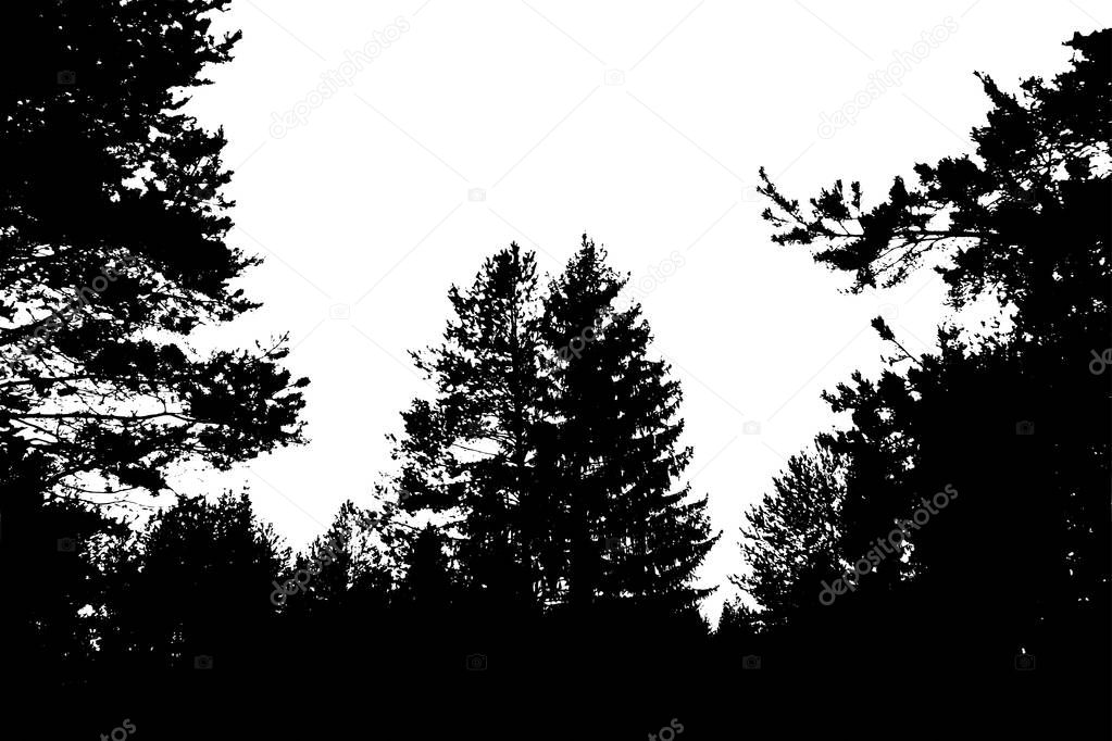 Download Black forest silhouette. Isolated on white background. Vector il — Stock Vector © josephine_art ...