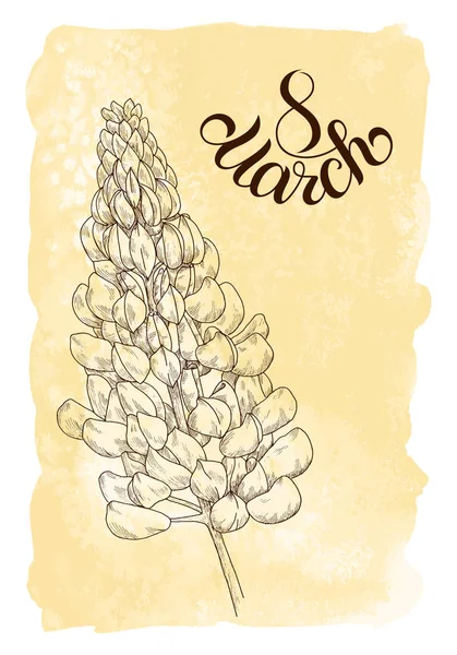 Tarjeta de regalo de vacaciones con letras de mano 8 Marzo y bosquejo de flores — Vector de stock