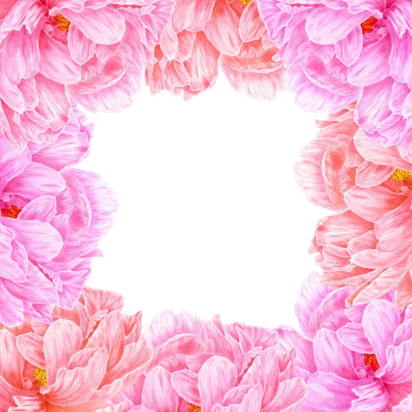 Aquarel roze pioen. Botanische kunst. Sjabloon voor een zakelijke certificeringsinstantie — Stockfoto
