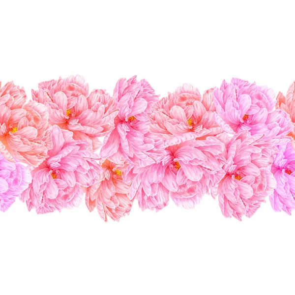 Peônia rosa aquarela. Arte botânica. Modelo para uma empresa ca — Fotografia de Stock