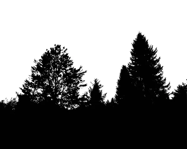 黒い森のシルエット。白い背景に分離 — ストックベクタ
