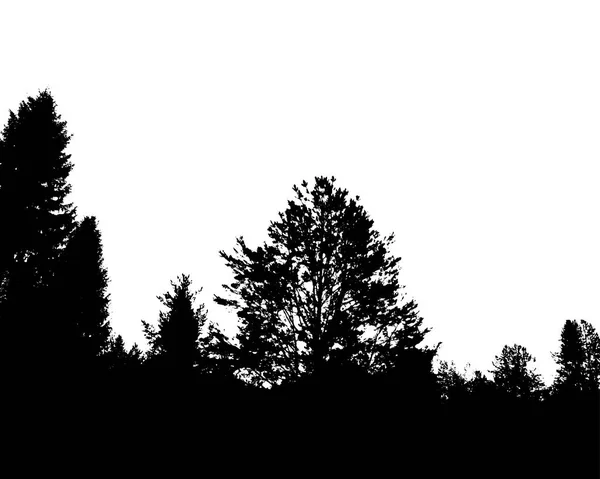 Silueta del bosque negro. Aislado sobre fondo blanco — Vector de stock