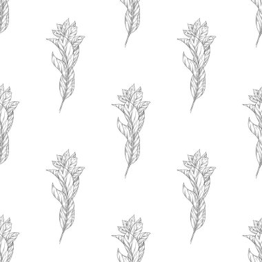 Kusursuz kalıp arkaplanı bırakır