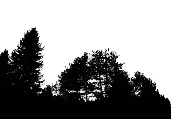 Silhouette forêt noire — Image vectorielle