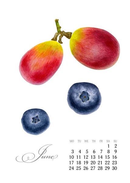 エレガントな印刷可能なカレンダー 2019。6 月。水彩のブドウ、ブルーベリー。ボタニカル ・ アート。バナー、ノート パソコン、化粧品、香水や招待状のテンプレート — ストック写真