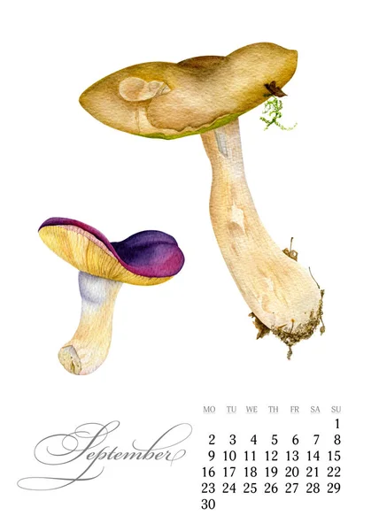 Κομψό εκτυπώσιμη ημερολόγιο 2019. Σεπτεμβρίου. Ακουαρέλα μανιτάρια. Βοτανική τέχνη. Πρότυπο για ένα πανό, σημειωματάριο, καλλυντικά, αρώματα ή πρόσκληση — Φωτογραφία Αρχείου