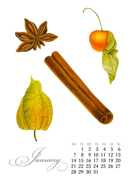 Κομψό εκτυπώσιμη ημερολόγιο 2019. Ιανουαρίου. Ακουαρέλα χειμώνα κεράσι, badian, κανέλα. Βοτανική τέχνη. Πρότυπο για ένα πανό, σημειωματάριο, καλλυντικά, αρώματα ή πρόσκληση — Φωτογραφία Αρχείου