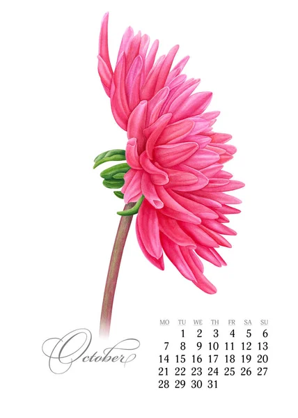 Κομψό εκτυπώσιμη ημερολόγιο 2019. Οκτωβρίου. Ακουαρέλα ροζ ντάλια. Βοτανική τέχνη. Πρότυπο για ένα πανό, σημειωματάριο, καλλυντικά, αρώματα ή πρόσκληση — Φωτογραφία Αρχείου