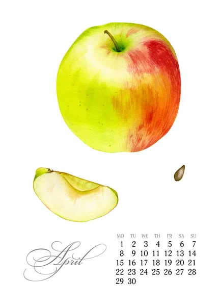 Κομψό εκτυπώσιμη ημερολόγιο 2019. Τον Απρίλιο. Ακουαρέλα μήλο. Βοτανική τέχνη. Πρότυπο για ένα πανό, σημειωματάριο, καλλυντικά, αρώματα ή πρόσκληση — Φωτογραφία Αρχείου