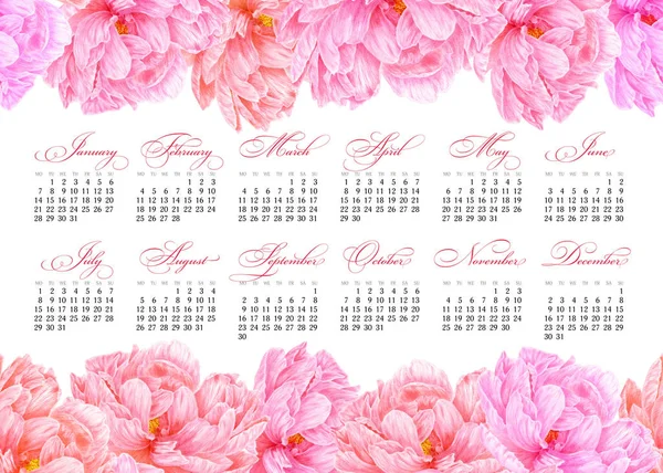 Calendário elegante para impressão 2019. Peônia rosa aquarela. Arte botânica. Modelo para um banner, cartaz, notebook, cosméticos, perfume, cartão de felicitações ou convite de casamento — Fotografia de Stock