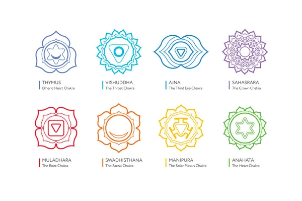 Système de chakras du corps humain. Vecteur Sahasrara, Ajna, Vishuddha, Anahata, Manipura, Swadhisthana, Muladhara — Image vectorielle