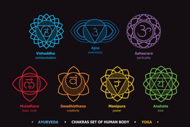 İnsan vücudu - kullanılan Hinduizm, Budizm, Ayurveda çakralar sistem. İçini kaplamak sanat yorum. Tasarımı için yoga ile ilgili. Vektör Sahasrara, Ajna, Vishuddha, Anahata, Manipura, Swadhisthana, Muladhara