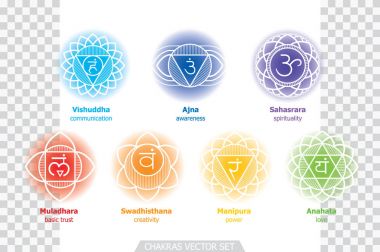 İnsan vücudu - kullanılan Hinduizm, Budizm, Ayurveda çakralar sistem. İçini kaplamak sanat yorum. Tasarımı için yoga ile ilgili. Vektör Sahasrara, Ajna, Vishuddha, Anahata, Manipura, Swadhisthana, Muladhara