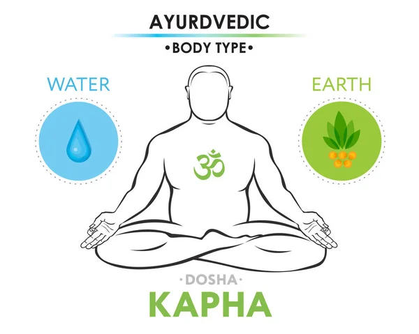 Kapha Dosha Oder Endomorph Ayurvedische Körperliche Konstitution Des Menschlichen Körpers — Stockvektor