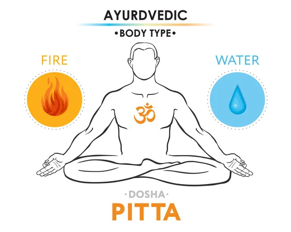 Pitta Dosha Mesomorph Ayurvedic Physical Constitution Human Body Type Editable Royalty Free Stock Illustrations