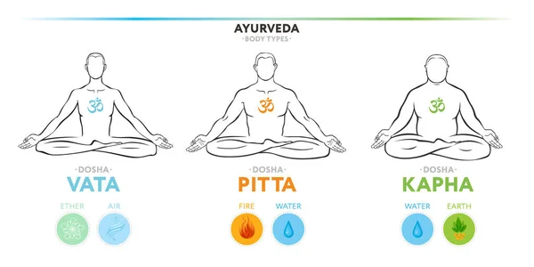 Vata Pitta Kapha Doshas Ectomorph Mesomorph Endomorph Ayurvedic Physical Constitution Vector Graphics