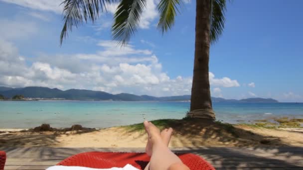 Chica bajo la palmera de coco en la hermosa playa tropical — Vídeo de stock