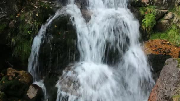 Vattenfall Jedlova Creek i Jizera mountains — Stockvideo