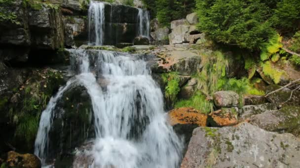 Vattenfall Jedlova Creek i Jizera mountains — Stockvideo