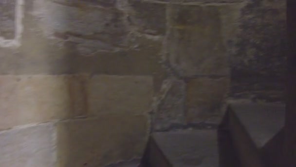 Eliptická středověké kamenné schodiště ve starém zámku — Stock video