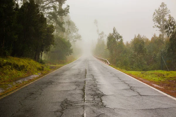 Road in clouds on Teide mountains in Tenerife, Canary Islands — Stock Photo, Image