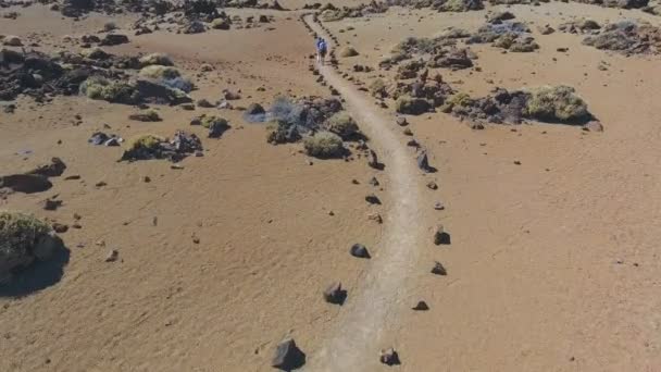 Tourists on footpath in Teide National Park in Tenerife — Stock Video