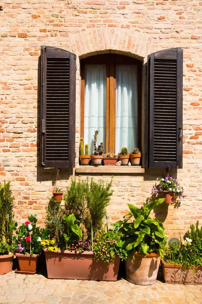 Окно с деревянными ставнями старого дома и кактусами — стоковое фото