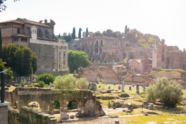 Forum, Roma ile eski Roma cityscape mahvediyor.