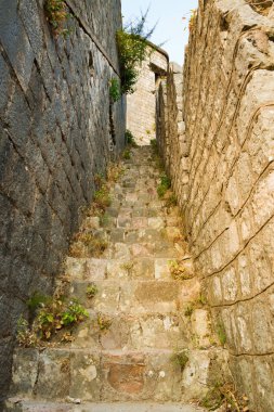 Harabeleri Kotor'ın Kalesi, San Giovanni taş merdiven, ev çatıları ve Karadağ'daki eski duvarları ile