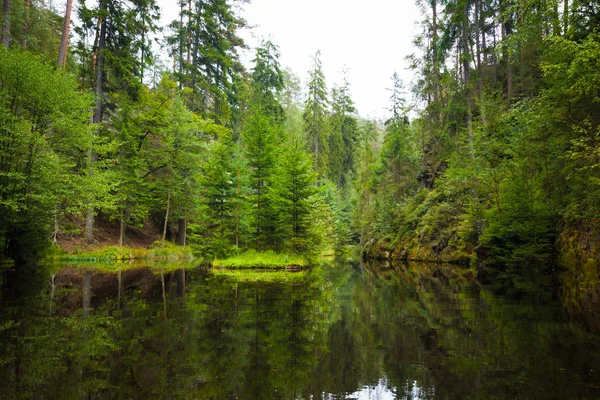 Reflexão da floresta em pequeno lago na montanha de rocha Adrspasske skaly, República Checa — Fotografia de Stock