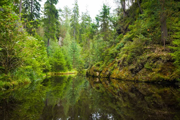 Reflexão da floresta em pequeno lago na montanha de rocha Adrspasske skaly, República Checa — Fotografia de Stock